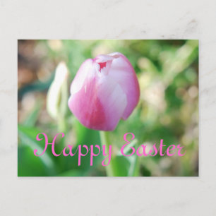 Happy Easter Pink Tulip Feestdagenkaart