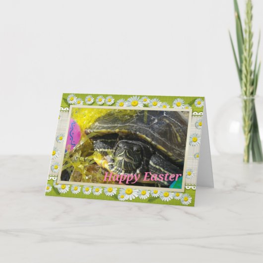 Happy Easter Turtle Feestdagen Kaart (Voorkant)