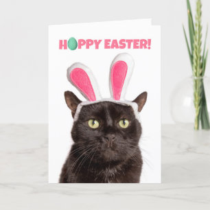 Happy Easter voor iedereen grappige kat in Bunny E Feestdagen Kaart