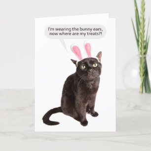 Happy Easter voor iedereen grappige kat over Bunny Feestdagen Kaart