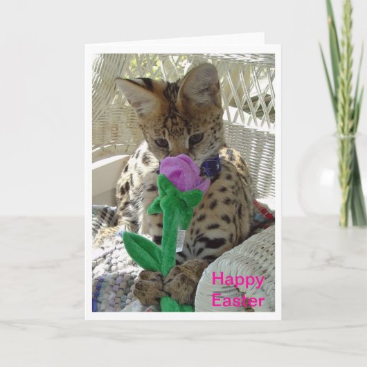 Happy Easter Wenskaart Feestdagen Kaart (Voorkant)