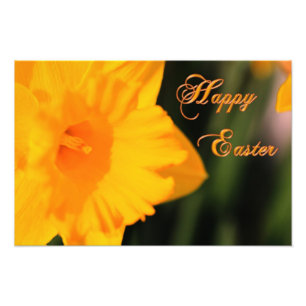 Happy Easter Yellow Spring Daffodil Flower Foto Afdruk