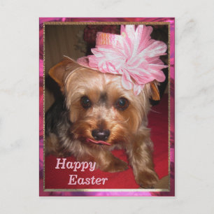 Happy Easter Yorkie Feestdagenkaart