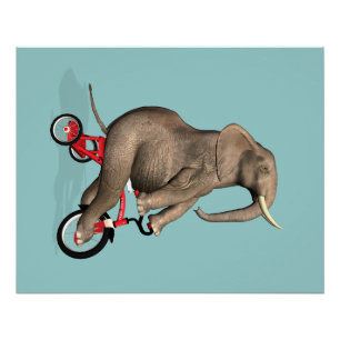 Happy Elephant op Tricycle Perfect Poster