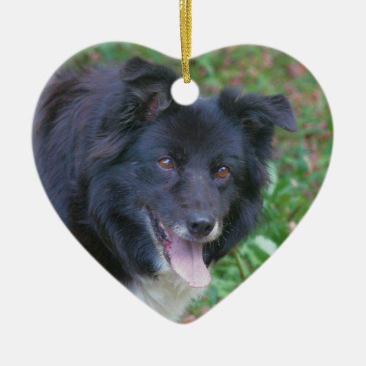 Happy Face Border Collie Dog Ornament (Voorkant)
