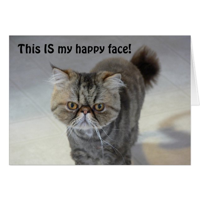 Happy Face Cat-kaart (Voorkant Horizontaal)