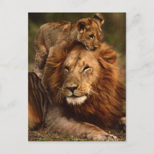 Happy Fathers Day Daddy Lion en Lion Cub Briefkaart