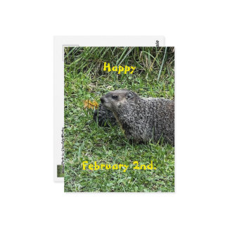 Happy February 2nd Custom Groundhog Postcards Briefkaart