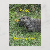 Happy February 2nd Custom Groundhog Postcards Briefkaart (Voorkant)