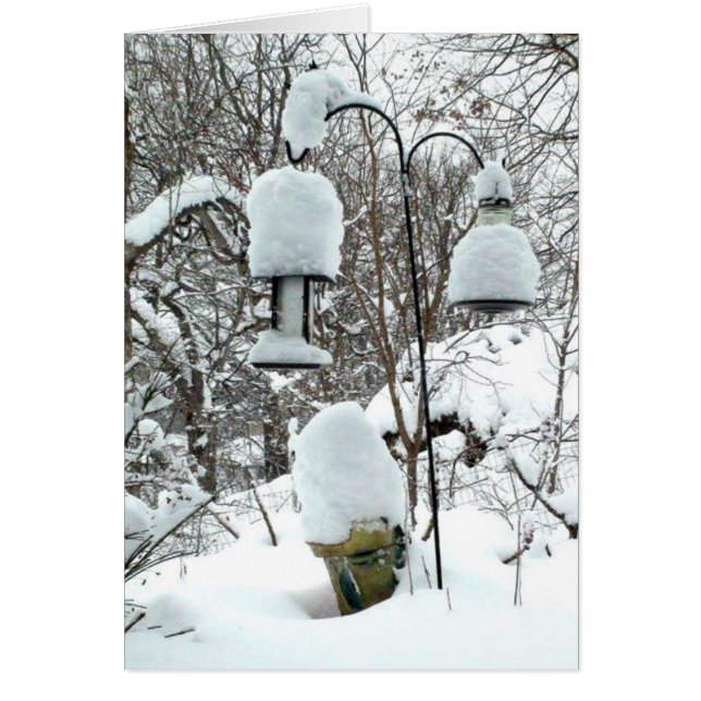 Happy First Day of Spring Wisconsin Humor Kaart (Voorkant)