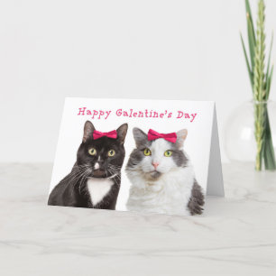 Happy Galentine's Day Schattigee Meisje Katten Feestdagen Kaart