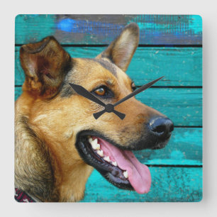 Happy German Shepherd Dog Rustic Blauwgroen Vierkante Klok