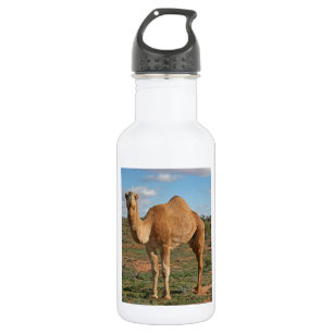 HAPPY GIFTING WATERFLES