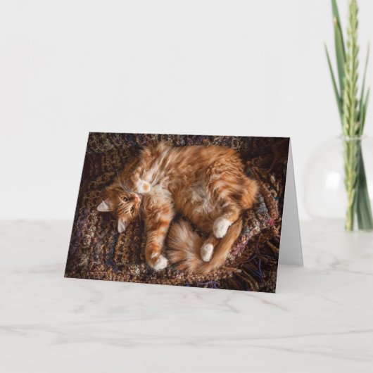 Happy Ginger Cat Birthday Card Kaart (Voorkant)