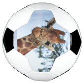 Happy Giraffe sluit Wildlife Safari op Voetbal (Gedraaid)