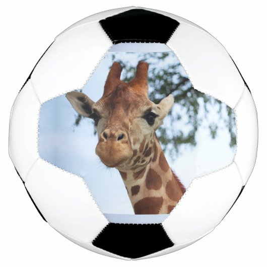 Happy Giraffe sluit Wildlife Safari op Voetbal (Voorkant)