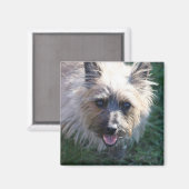 Happy Girl Magnet Magneet (Voorkant / Achterkant)