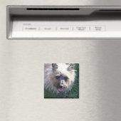 Happy Girl Magnet Magneet (Insitu (Vaatwasser))