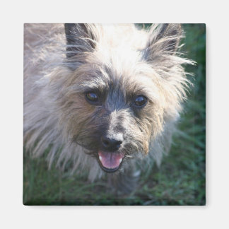 Happy Girl Magnet Magneet