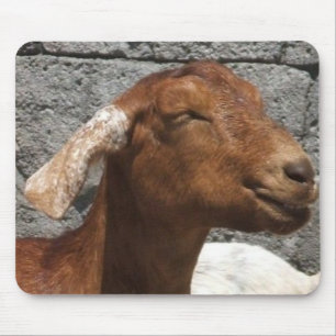 Happy Goat Muismat