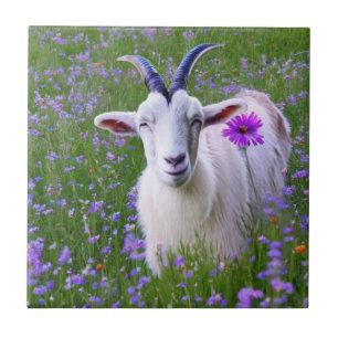 Happy Goat Tegeltje