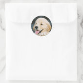 Happy Golden Retriever Puppy Sticker (Sac)