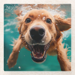 Happy Golden Retriever zwemmen onder water Glazen Onderzetter