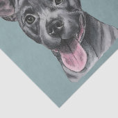 Happy Gray Pit Bull Dog Birthday Tissuepapier (Detail)