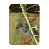Happy Gray Squirrel Magnet Magneet (Verticaal)