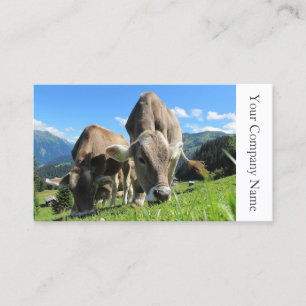 Happy Grazing Cows-foto - Visitekaartje
