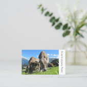 Happy Grazing Cows Photo - Carte de visite (Debout devant)