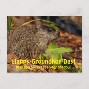 Happy Groundhog Day Briefkaart