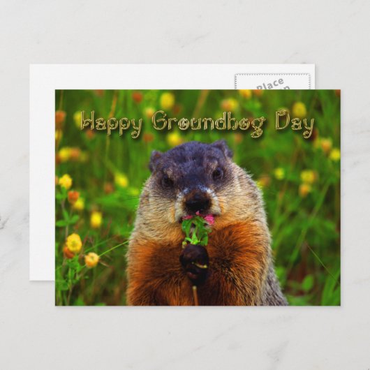 Happy Groundhog Day Eating Flower Briefkaart (Voorkant / Achterkant)