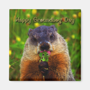 Happy Groundhog Day Eating Flower Magneet