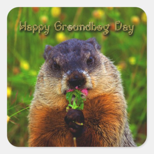 Happy Groundhog Day Eating Flower Vierkante Sticker (Voorkant)