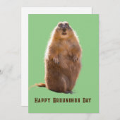 Happy Groundhog Day Grappig Feestdagenkaart (Voorkant / Achterkant)