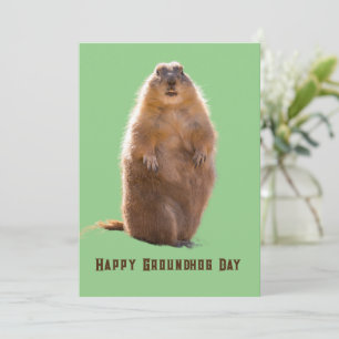 Happy Groundhog Day Grappig Feestdagenkaart