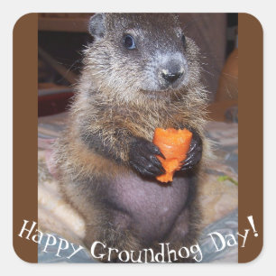 Happy Groundhog Day Stickers