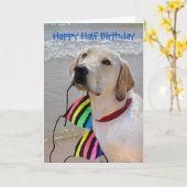 Happy Half Birthday Labrador Retriever Kaart (Gele Bloem)