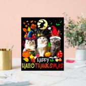 Happy HalloThanksMas Chats (Mariage)