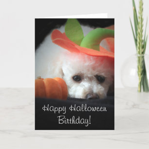 Happy Halloween Birthday poodle-kaart Kaart