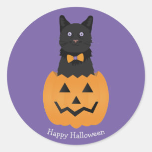 Happy Halloween Black Cat Pumpkin Ronde Sticker