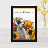 Happy Halloween boxer chiot carte de voeux (Fleur jaune)