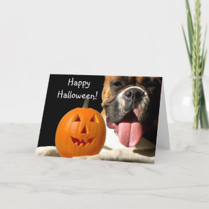 Happy Halloween Boxer Wenskaart Kaart
