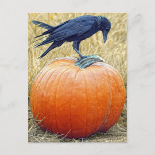 HAPPY HALLOWEEN BRIEFKAART