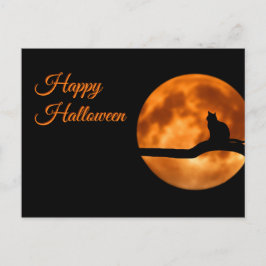 Happy Halloween Cat Briefkaart