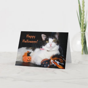 Happy Halloween Cat Calico Kat met pompoen Kaart