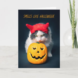 Happy Halloween Cat in Costume Sniffing Pumpkin Feestdagen Kaart