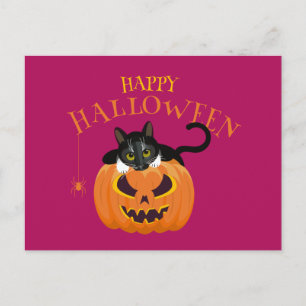 Happy Halloween Cat leuk Briefkaart