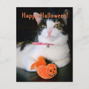 Happy Halloween Cat met pompoen Feestdagenkaart